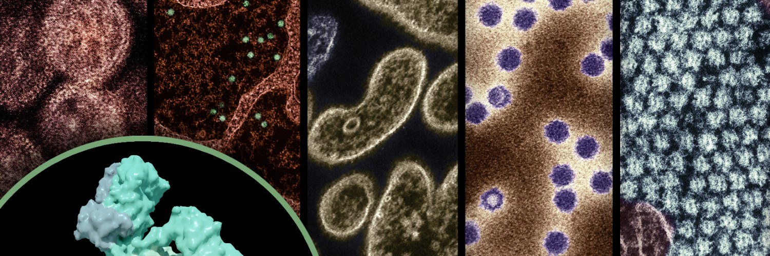 Hantavirus Tracker header image
